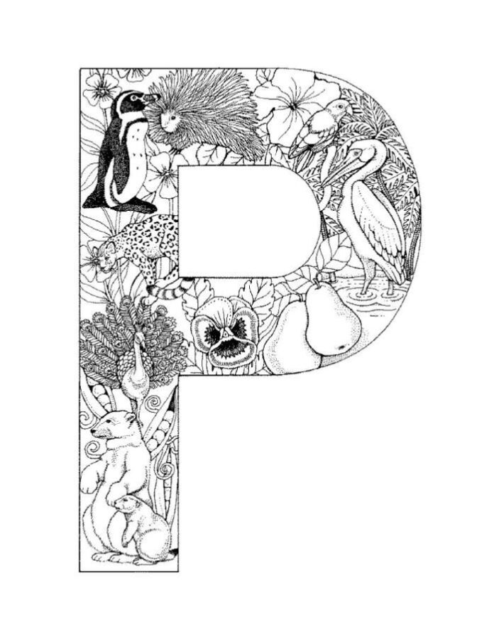 ABC-3