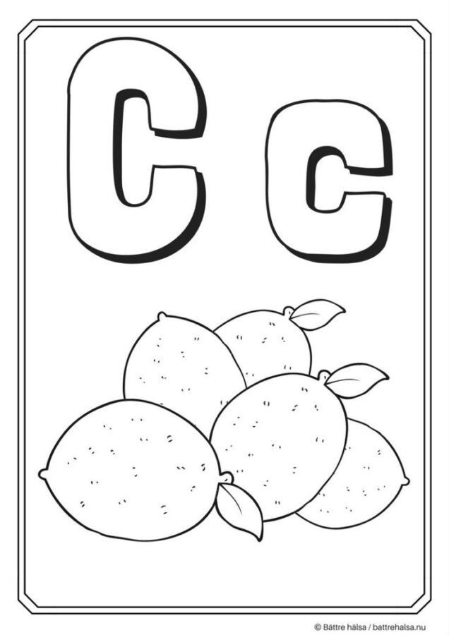 ABC-4