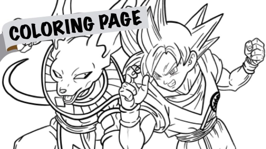Beerus-8