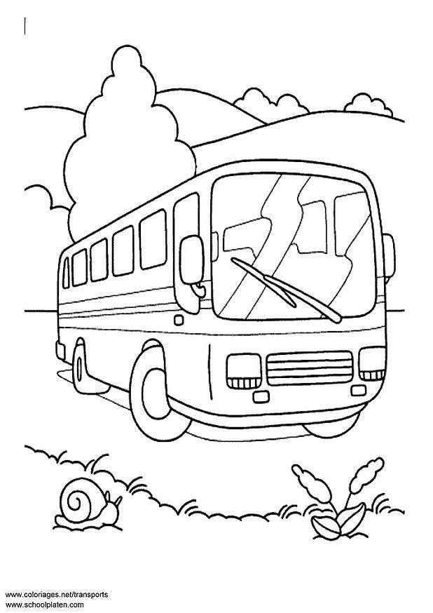 Bus-6