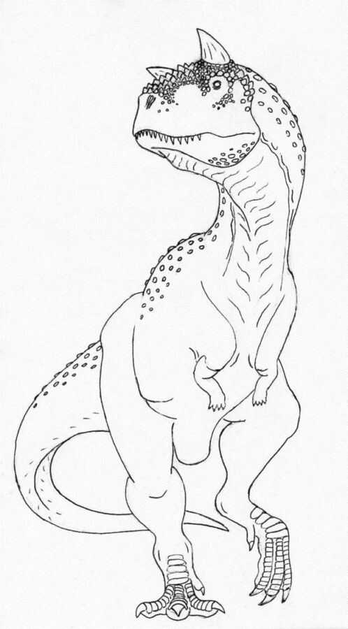 Carnotaurus-7