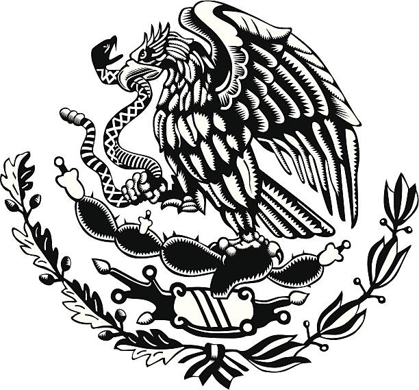 Club América-8