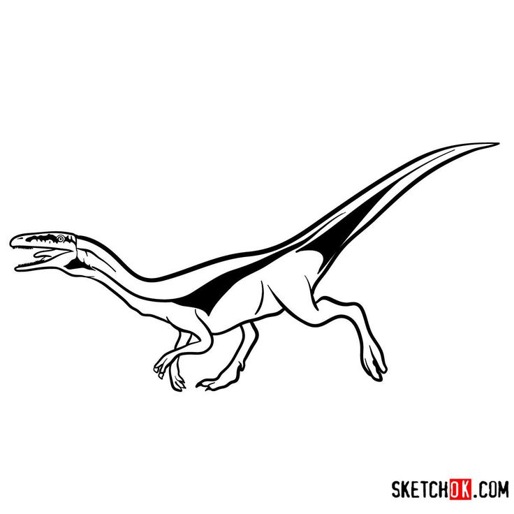 Compsognathus-12