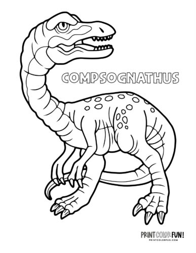 Compsognathus-13