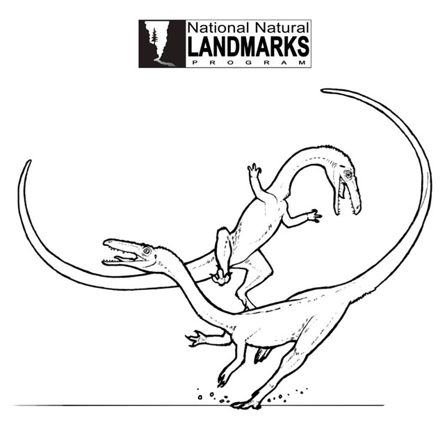 Compsognathus-15