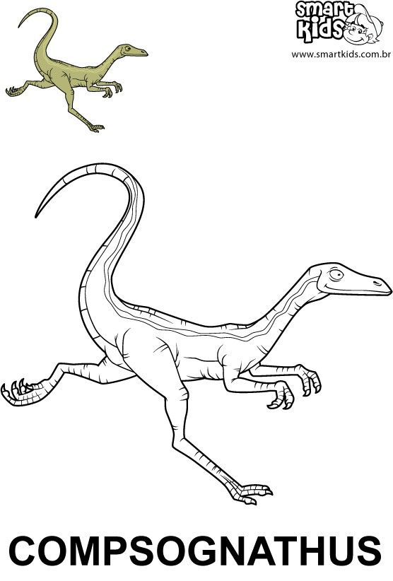 Compsognathus-4