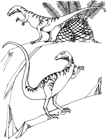 Compsognathus-6