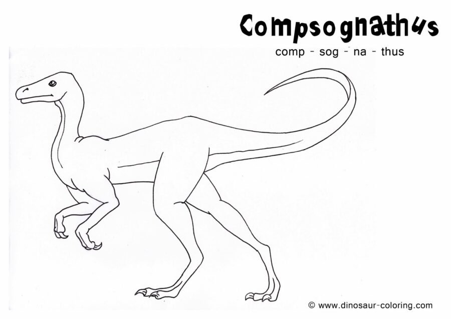 Compsognathus-9
