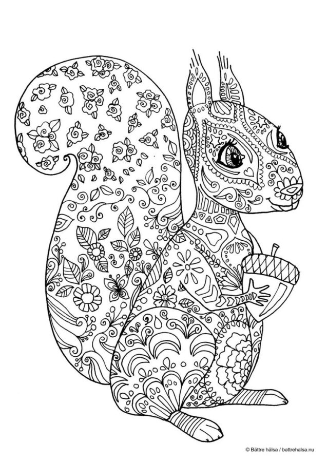 Eichhörnchen-2