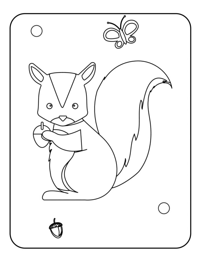 Eichhörnchen-5