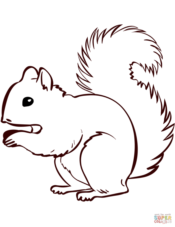 Eichhörnchen-6