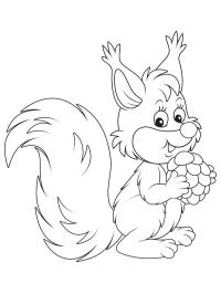 Eichhörnchen-7