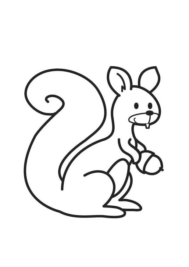 Eichhörnchen-8