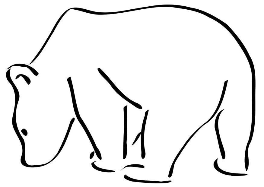 Eisbär-7