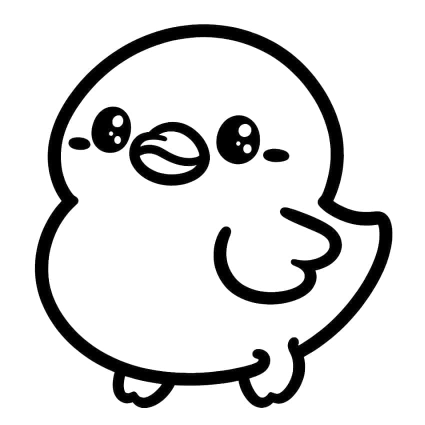 Ente-5