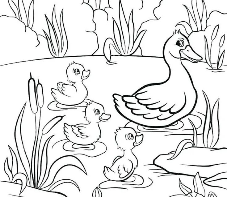 Ente-7