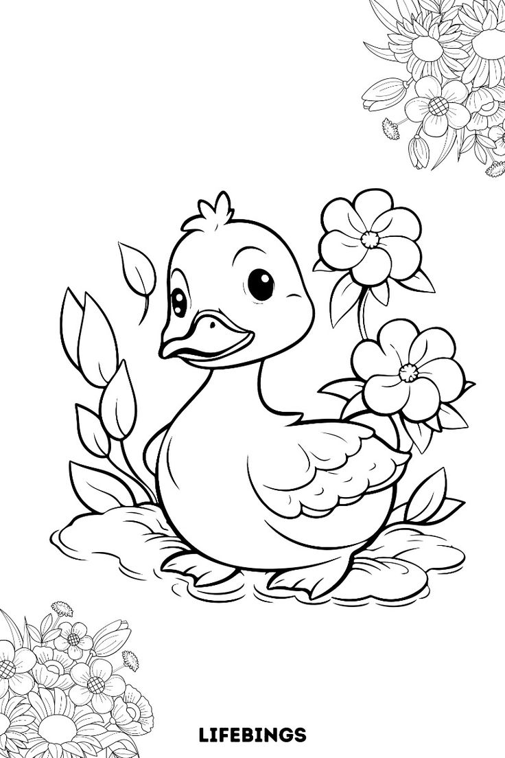 Ente-8