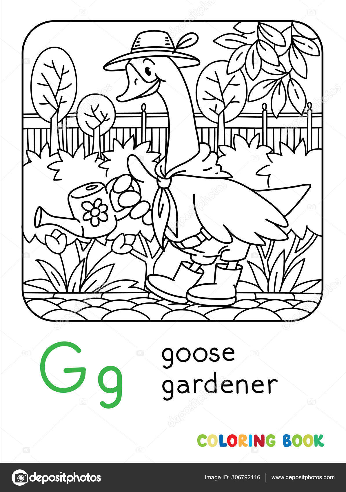 Gans-4