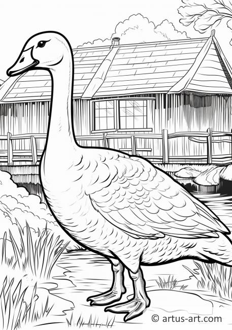 Gans-6
