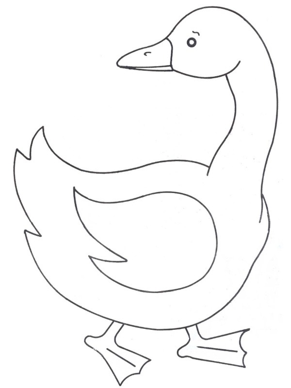 Gans-7