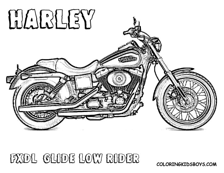 Harley-Davidson-7