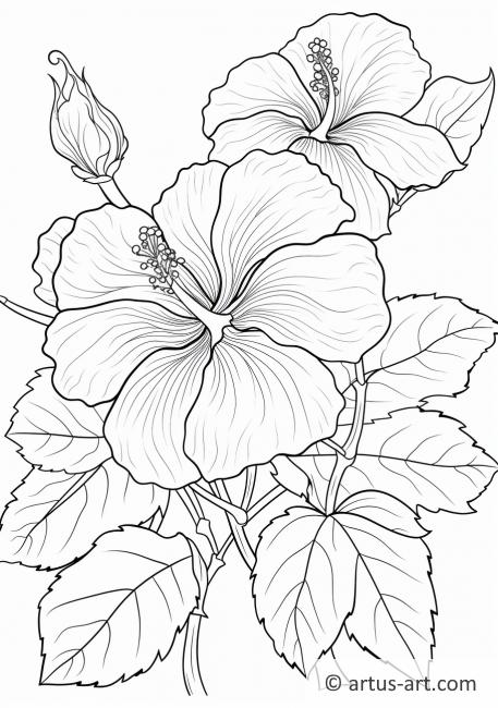 Hibiskus-1
