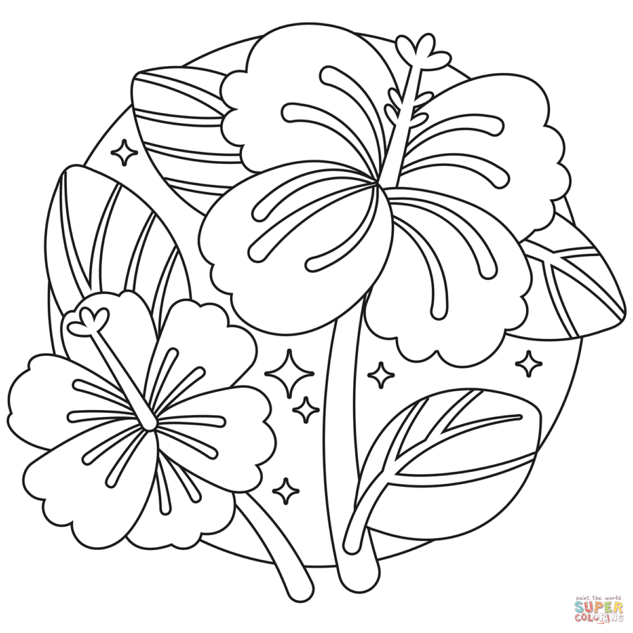 Hibiskus-8