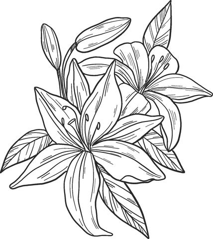 Lilien-2