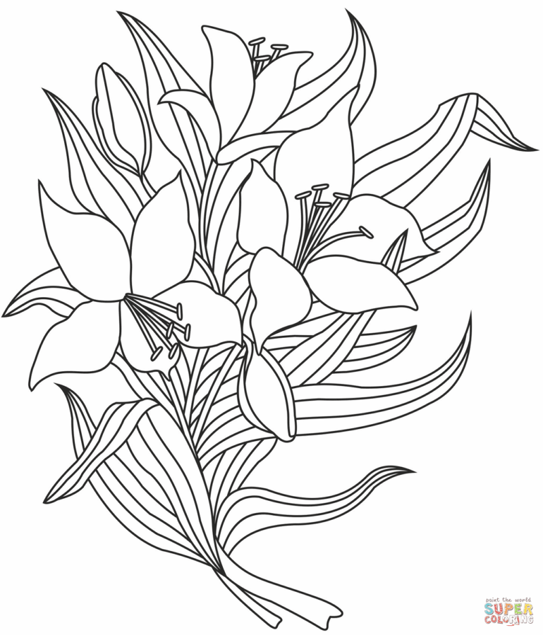 Lilien-7
