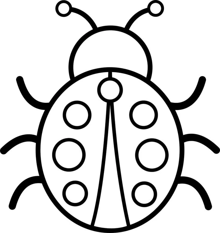 Marienkäfer-8