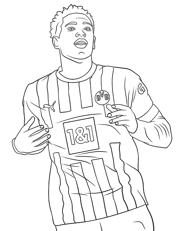 Palmeiras-6