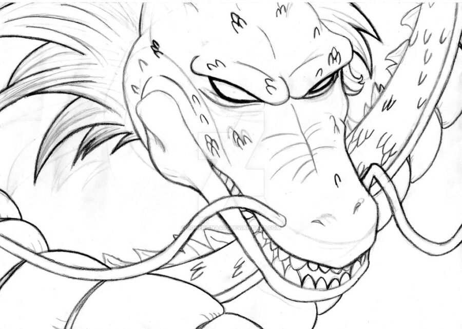 Shenlong-11