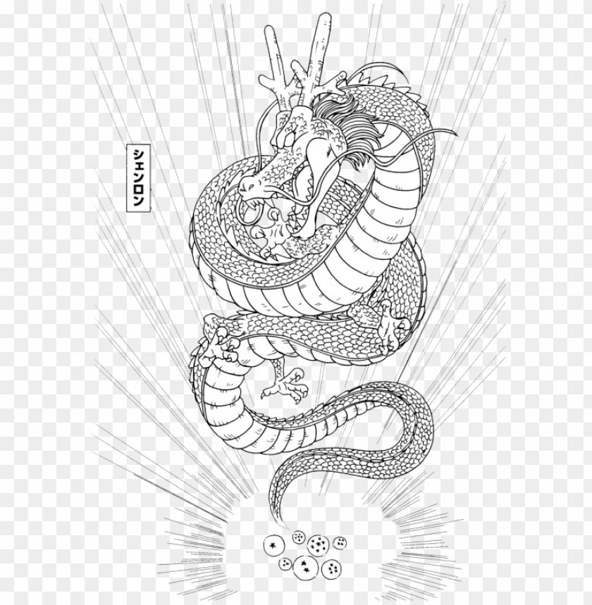 Shenlong-12