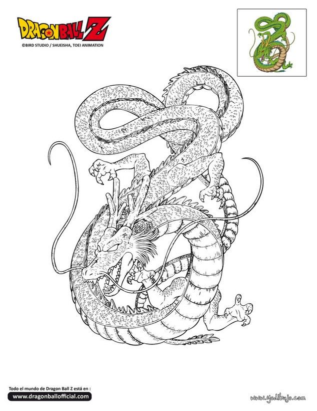 Shenlong-13