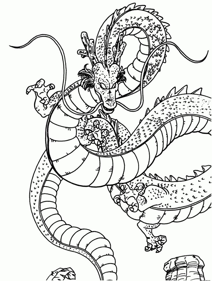 Shenlong-3