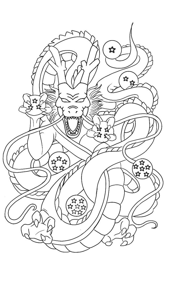 Shenlong-4