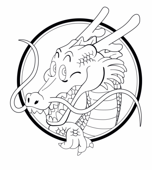 Shenlong-5