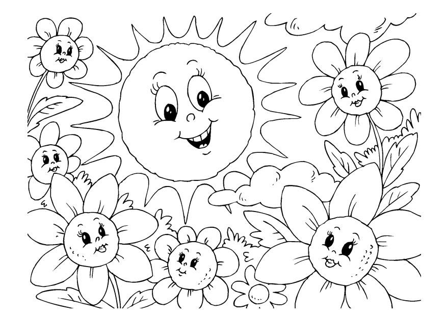 Sommerfrüchte-8