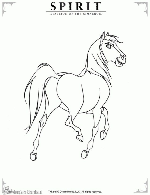 Spirit – Der wilde Mustang-2