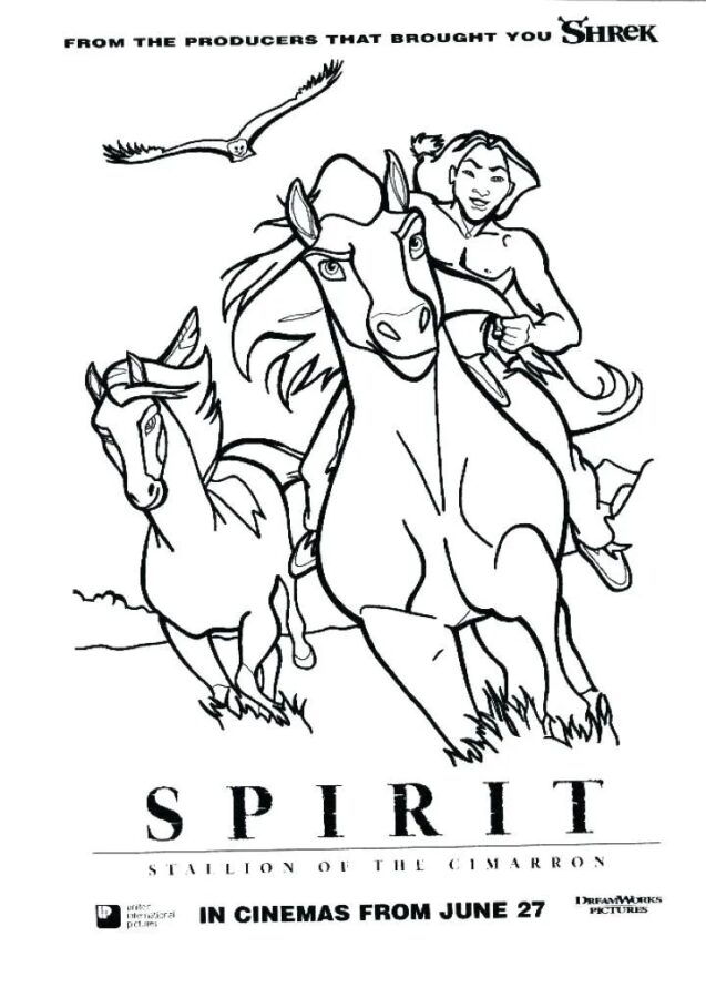 Spirit – Der wilde Mustang-7