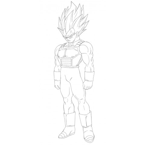 Vegeta-13