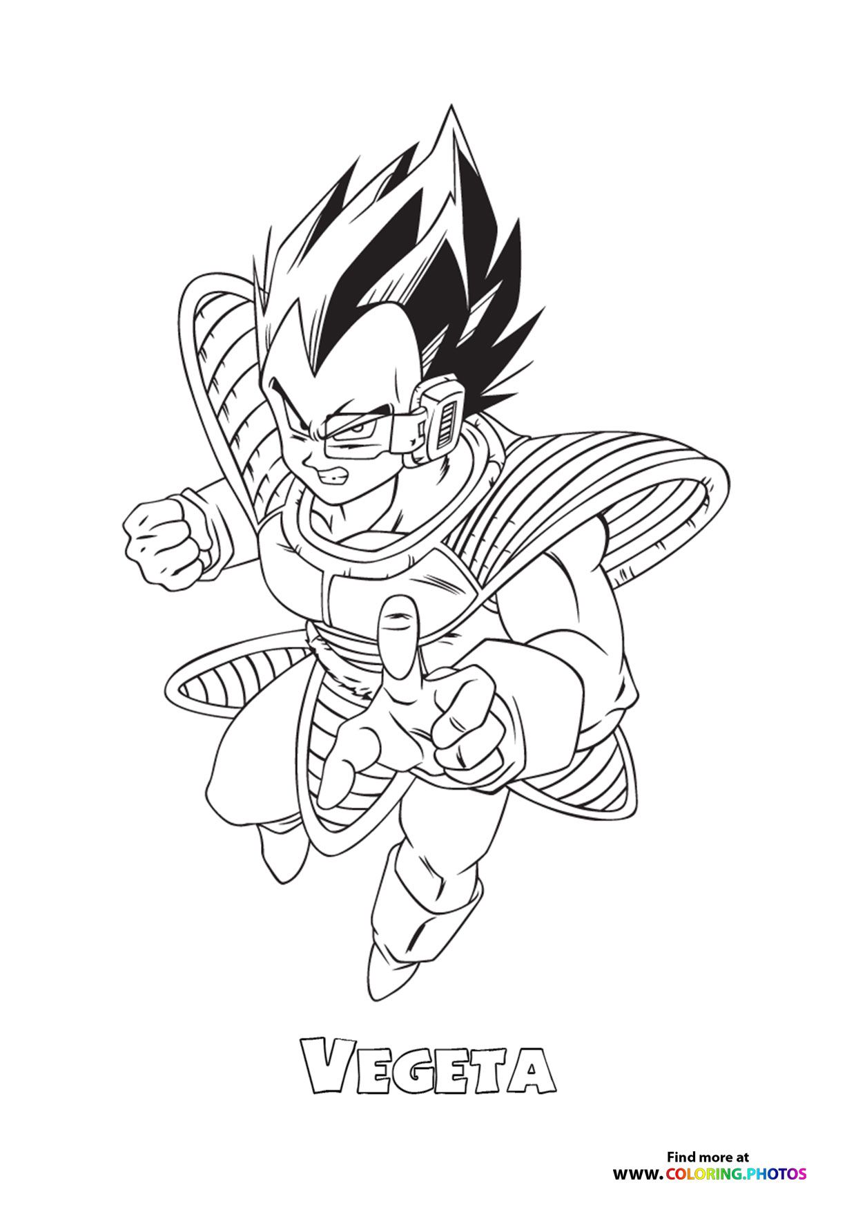 Vegeta-3