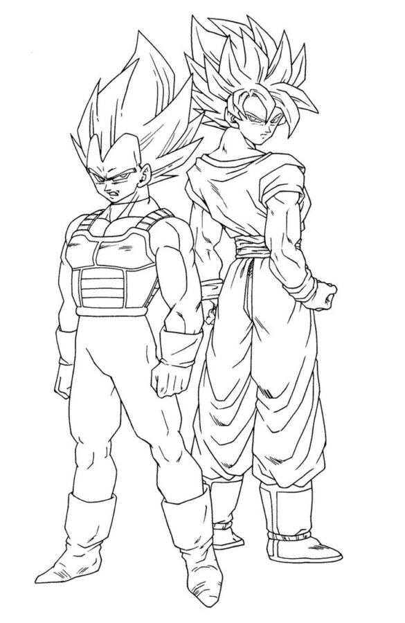 Vegeta-5