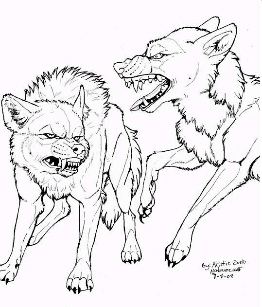 Wolf-2