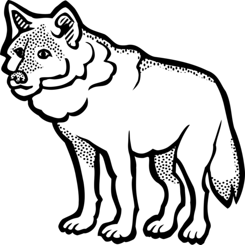 Wolf-5