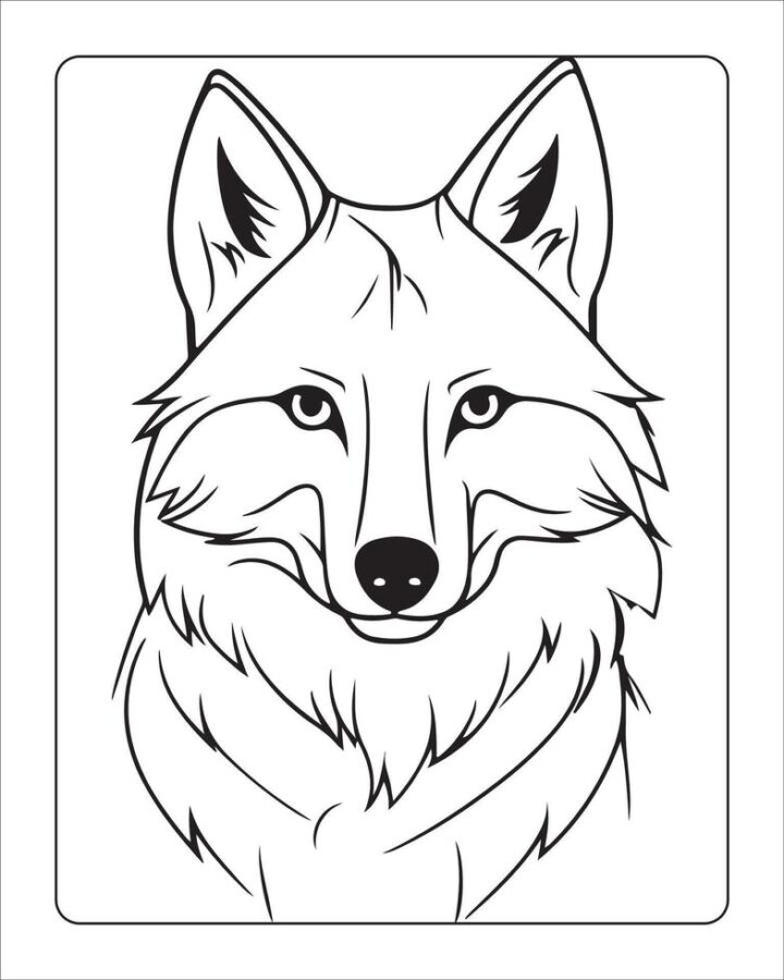 Wolf-8